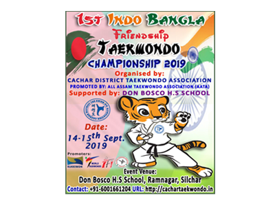 Taekwondo Poster