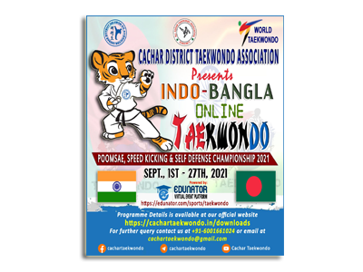 Taekwondo Poster